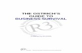 THE OSTRICH’S GUIDE TO BUSINESS SURVIVAL · WHEN YOU ARE OWED MONEY MINIMISING THE IMPACT ON YOUR BUSINESS OF OTHER PEOPLE’S INSOLVENCY. Other people’s problems are your problem