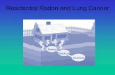 Residential Radon and Lung Cancer - McLaughlin Centre · 2007-12-12 · 218Po and 214Po deliver radiologically significant dose to the respiratory epithelium. Lead-210 Polonium-214