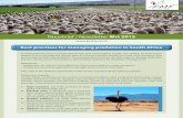 Nuusbrief / Newsletter Mrt 2015 · Nuusbrief / Newsletter Mrt 2015 Livestock farmers have a constitutional right and responsibility to take care of their animals and to protect it