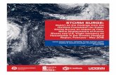 STORM SURGE - Centro de Estudios Puertorriqueños...Source: Centro de Estudios Puertorriqueños Over the past ten years, half a million Puerto Ricans have emigrated from the island