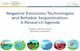 Negative Emissions Technologies and Reliable …...Current Technology and Understanding and at
