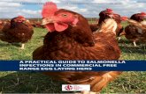 A PRACTICAL GUIDE TO SALMONELLA INFECTIONS …...A brief introduction to Salmonella and its controls is offered in the first 2 chapters with the rest of the booklet (beginning on page