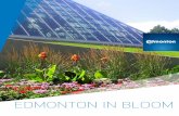 EDMONTON IN BLOOM · 2020-06-12 · Edmonton has been an enthusiastic supporter of Communities in Bloom since the program began in 1995. The city was a national winner in 1997, 2000,