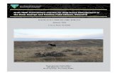 Draft RMP Amendment and EIS for Wild Horse Management in ...€¦ · Draft RMP Amendment and EIS for Wild Horse Management in the Rock Springs and Rawlins Field Offices, Wyoming .