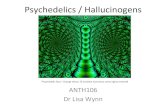 Psychedelics*/*Hallucinogens*€¦ · Some*New*World*hallucinogens:* Name" Ac2ve"agent" Locaonfound Ayahuasca* (yage/ yaje) Harmaline* Western*Amazon* Datura* Scopolamine* * North,*Central,*