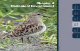 Chapter 4 Biological Environment · 2013-11-13 · Dungeness National Wildlife Refuge Comprehensive Conservation Plan 4-2 Chapter 4. Biological Environment Historic vegetation types