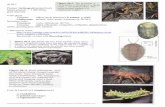 Phylum: Arthropod (jointed foot) Trilobita: oldest …...C:\Users\rannas\Desktop\new folder jan 2019\Biology 11 a Prentice Hall\28 Arthropods\notes\ch 28 notes.docPage 1 of 24 Page