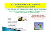 “There is no one diet, commercial or natural, that will ...eliasnutri.files.wordpress.com/2015/04/req-caninos-2017-i.pdfcarbohidratos y proteinas y mas bajo contenido de grasas Proveer