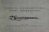 Larva collecting and breeding : a handbook to the …deriv.nls.uk/dcn23/8000/80007407.23.pdfiv PREFACE. CatalogueofBritishPlants"(8thed.).Thenumbersplaced afterthenamesoftheplants,etc.,aretakenfromthesame