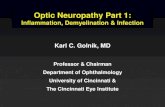 Optic Neuropathy Part 1...Atypical Optic Neuritis • Important to diagnose because they are usually responsive to steroids and/or antibiotics and need treatment to improve vision.