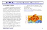 GWAC Critical Care Chroniclenursingnetwork-groupdata.s3.amazonaws.com/AACN... · GWAC Critical Care Chronicle 3
