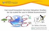 Can Local Ecosystem Services Valuation Studies be Up ......local empirical ecosystem service valuation studies are aggregated or up-scaled to the global assessment. • Value transfer