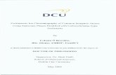 DCUdoras.dcu.ie/18144/1/Colmàn_Ò'Rìordàin.pdf · By Colman O Riordain, BSc. (Hons), AMRSC, GradlCI A thesis submitted to Dublin City University in part fulfilment for the degree