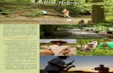 Annual Report - Bernheim Arboretum and Research Forestbernheim.org/wp-content/uploads/2015/11/AnReport15b.pdf · 1.03.2015  · sound, music and nature. - This fiscal year more than