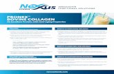 PRONEXTM BOVINE COLLAGEN - Nexxus Foodsnexxusfoods.com/wp-content/uploads/2019/12/sell-sheet...BENEFITS IN ATHLETIC PERFORMANCE AND WEIGHT LOSS • Bovine collagen, is an excellent