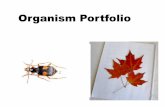 Organism Portfolio - Loudoun County Public Schools · Organism Portfolio in your existing science binder, or an alternate folder or binder. Supplies such as clear packing tape and