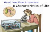We all have these in common. 8 Characteristics of Lifestaff.katyisd.org/sites/khspapbio/PreAP Biology Documents/1-2 Cell Structure and...8 Characteristics of Life. Living things share