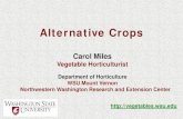 Alternative Crops - Washington State University · New and Alternative Crops Identify high-value crops with production potential in Washington State with a focus on Western Washington