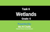 Task 6 Wetlands - pitlochryps.co.za · Task 6 Wetlands Grade: 6 Presented By: Mrs N Chetty Pitlochry Primary School Educator ⦿ A wetland is a wet area and is usually low