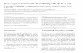 Case History and clinical findings - RevMedVetRevue Méd. Vét., 2015, 166, 3-4, 2-5 72 Introduction The helminths (Wordle, Mc Leod and Radinovsky 1974, Mesocestoides spp. Valliant