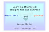 Learning strategies: bridging the gap between competence ... · strategies learning processes styles, intelligences, aptitudes beliefs, attitudes, motivation C O M P E T E N C E.