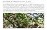 Lemurs of Madagascar – A Strategy for Their Conservation ...643world.com/.../IUCN...in_situ_lemur_conservation.pdf · Pp. 146-152 in: Schwitzer, C. et al. (eds). 2013. Lemurs of