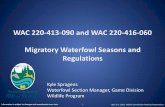WAC 220-413-090 and WAC 220-416-060 Migratory ...2019/04/04  · Information is subject to changes and amendments over time. 1 April 5-6, 2019, WDFW Commission Meeting Presentation