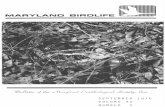 MARYLAND BIRDLIFE Illil!;,,,,,,,~llllllllllll~3)1976_0.pdf · Jaegers (Stercor~rius parasiticus) in the northern Chesapeake Bay off Anne Arundel County, Maryland, where to my knowledge,