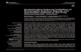 Acetylcholine-Induced Inhibition of Presynaptic Calcium ... · Acetylcholine (ACh), released from axonal terminals of motor neurons in neuromuscular ... entry into the nerve terminal