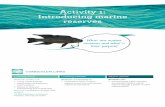 Protecting our marine world: Activity 1: Introducing ... · Inquiry focus Teaching/learning experiences Digital tools ‘Dive in’ and ‘Ask’ inquiry stages and recording prior