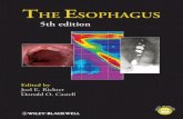 The Esophagus · 2013-07-23 · The Esophagus EDITED BY Joel E. Richter MD FACP MACG Professor of Medicine Hugh F Culverhouse Chair for Esophagology Director, Division of Digestive