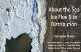 About the Sea Ice Floe Size Distribution - CliMA · 2018-12-14 · Horvat, Tziperman, & Campin (2016) Interaction of sea ice floe size, ocean eddies, and sea ice melting. GRL. Horvat