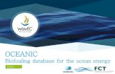 OCEANIC - Wavec · v. Period of immersion: Period (months or years) during which the biofouling could grow (i.e., from the equipment deployment until data was gathered) 1 month –