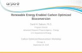 Renewable Energy Enabled Carbon Optimized Bioconversion · Designing energy-carbon optimized bioconversion systems 19 Fermentation (sometimes ECO) CO 2 Activation Power to Gas Biomass