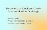 Recovery of Deckers Creek from Acid Mine Drainage · 2016-01-02 · Taylor Preston. Underground mines Limestone Bedrock Surface mines ... Swift, well defined channel. Water always