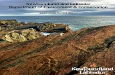 Newfoundland and Labrador Department of Environment ... · The Department of Environment and Conservation 2015-16 Annual Report ii Message From the Minister I am pleased to present