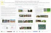 Amity Creek Restoration Initiative, Minnesota, USA ... · Amity Creek Restoration Initiative, Minnesota, USA: Demonstration project to help restore and protect north shore Lake Superior