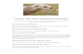 Otters & Their Waters: frequently asked questions Otters FAQ.pdf · 2016-06-08 · Otters & Their Waters: frequently asked questions Unless otherwise specified, “river otter”