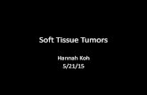 Soft Tissue Tumorsbonepit.com/lectures/Soft Tissue Tumors Hannah Koh.pdf · 2016-03-24 · •Gielen et al •548 untreated soft tissue tumors from 58 MRI centers •Images prospectively