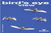 bird’s eye view - birdlifemalta.org€¦ · bird’s eye view hunting history repeating the dread wood Geoffrey Saliba made. One dead bird was quickly followed by the second, third,
