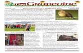 THE NEWSLETTER OF HAMPTON LUCY, CHARLECOTE AND … · The newsletter is published in colour each month. To view the colour version visit the village websites, or request an e-mail