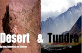 DESERT & TUNDRA...Located at latitudes 55 to 70 North – Alpine Tundra (high altitude) In the tundra air temperature rarely is above 10 degrees celsius, even in summer Because of
