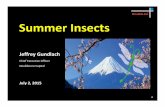 7-2-15 Summer Insects - CFA Buffalo Summer Insect… · U.S. Dollar Index Spot December 31, 2007 through July 2, 2015 Source: Bloomberg Financial Services, DoubleLine Capital LP DXY