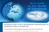 INTRODUCTION TO SELF-ORGANIZING MANAGEMENT ...s3. ... INTRODUCTION TO SELF-ORGANIZING MANAGEMENT & CONTROL
