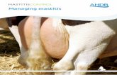 Managing mastitis - Microsoft...ahead to prevent a costly case of mastitis. A car’s safety depends critically on the condition of the four tyres – the only part of the car which