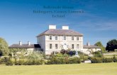 Ballyneale House Ballingarry, County Limerick Ireland · The house is surrounded by wonderful gardens and grounds which are a special feature of the property. A gravelled tarmac drive