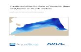 Predicted distributions of benthic flora and fauna in Polish waters · 2019-01-28 · Predicted distributions of benthic flora and fauna in Polish waters S T O C K H O L M, M A R
