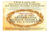 5113 BUL 20 16OT July 19...233 County St., New Bedford, MA 02740 ROCR OUR LADY OF GUADALUPE PARISH E E AT ERRA AR S 23233 Coun AINT ty * R S J t., NeNew Bed AMES RR df RE …