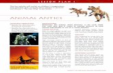 Animal Antics - Lion King Education...LESSON PLAN 1 Learning objectives • Photocopy the activity sheet Identify the characteristics You may also find it useful to enlarge pictures
