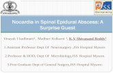 Nocardia in Spinal Epidural Abscess: A Surprise Guest€¦ · Increased concerns for nocardiosis typically involves patients with depressed cellular immunity or humorally immunocompromised